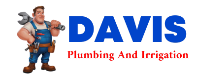 Trusted plumber in FERTILE